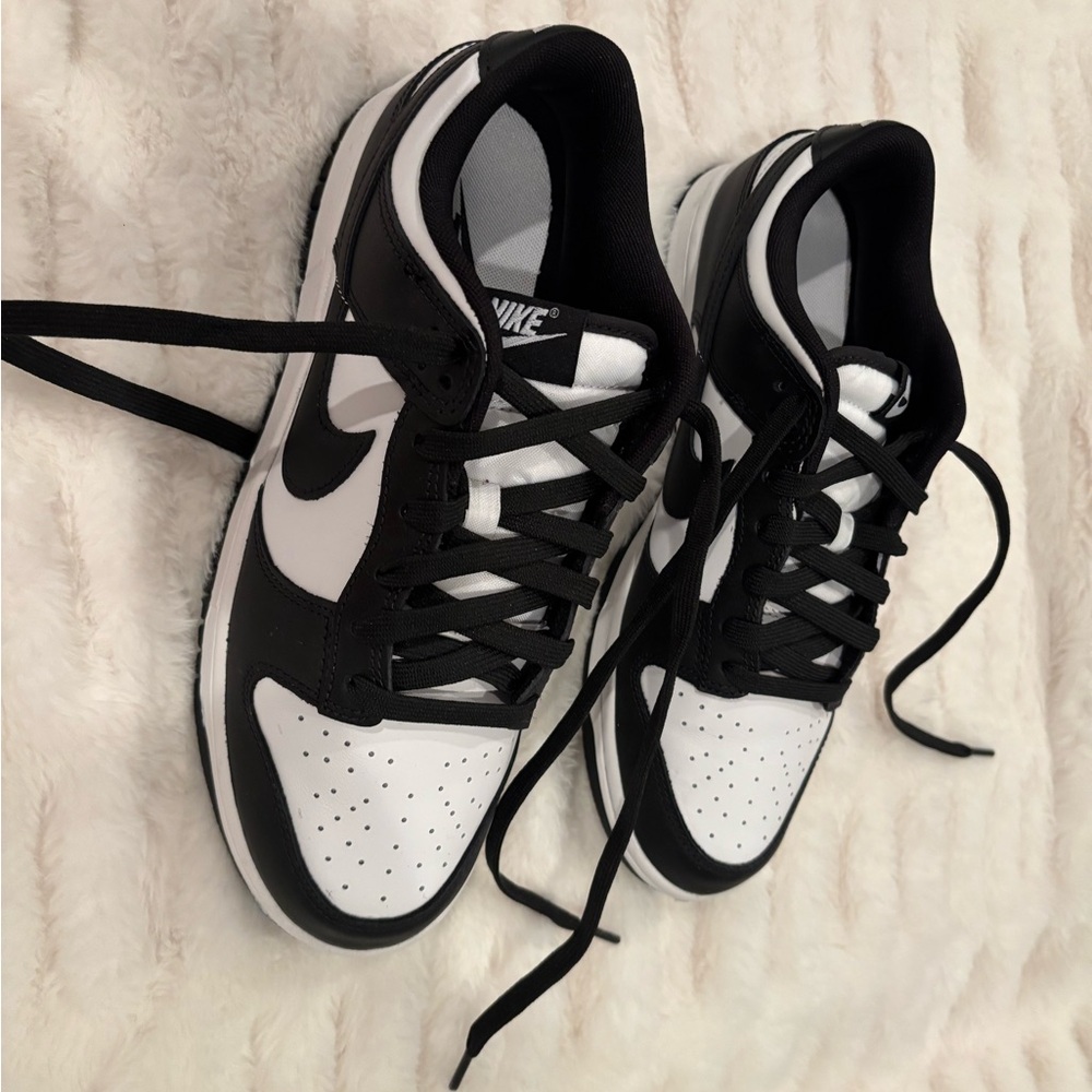 Nike Dunk Low Retro Men's Shoes BRAND NEW, Never worn - Picture 5 of 9